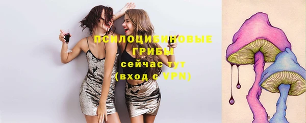 герыч Снежногорск