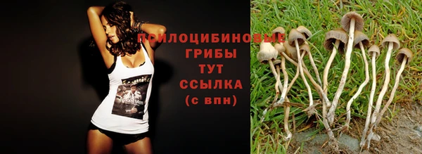 ECSTASY Вязники