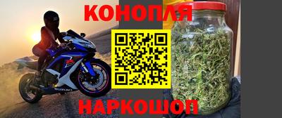 СК Краснодар