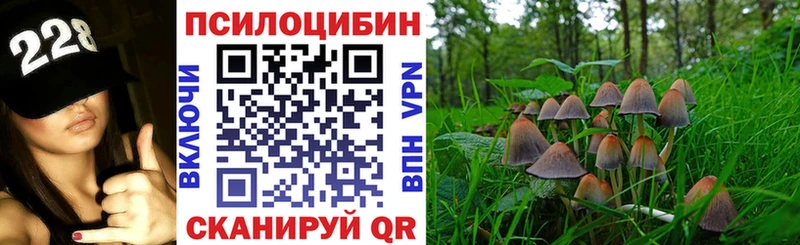 Галлюциногенные грибы Cubensis  Хасавюрт 
