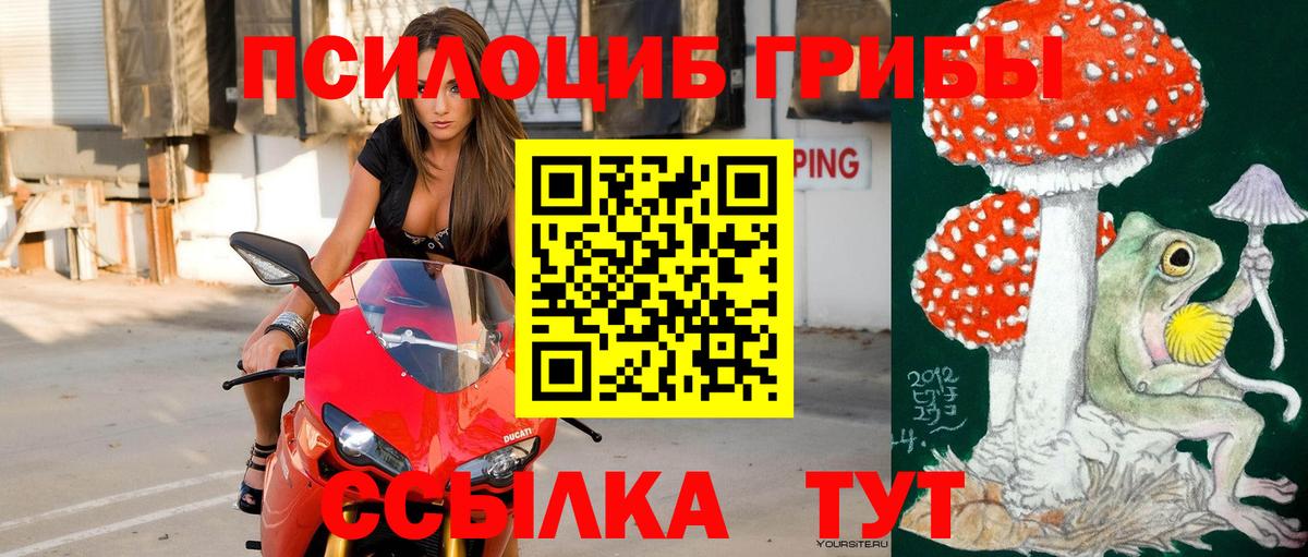 Псилоцибиновые грибы Magic Shrooms  Галлюциногенные грибы ЛСД  Вход с VPN  Хасавюрт 